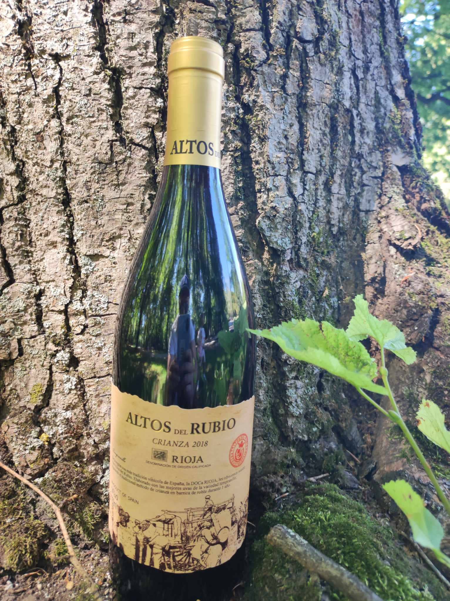 Viñedos y Bodegas Lyng – wholesale Rött vin – D.O.Ca. Crianza rödvin Rioja Altos del Rubio8