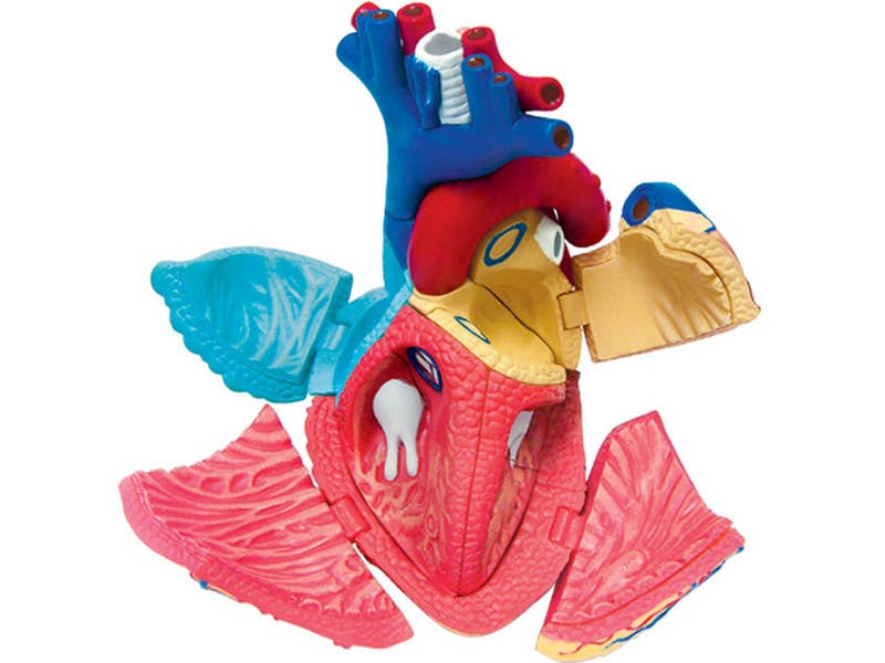 Wholesale Heart for your store - Faire