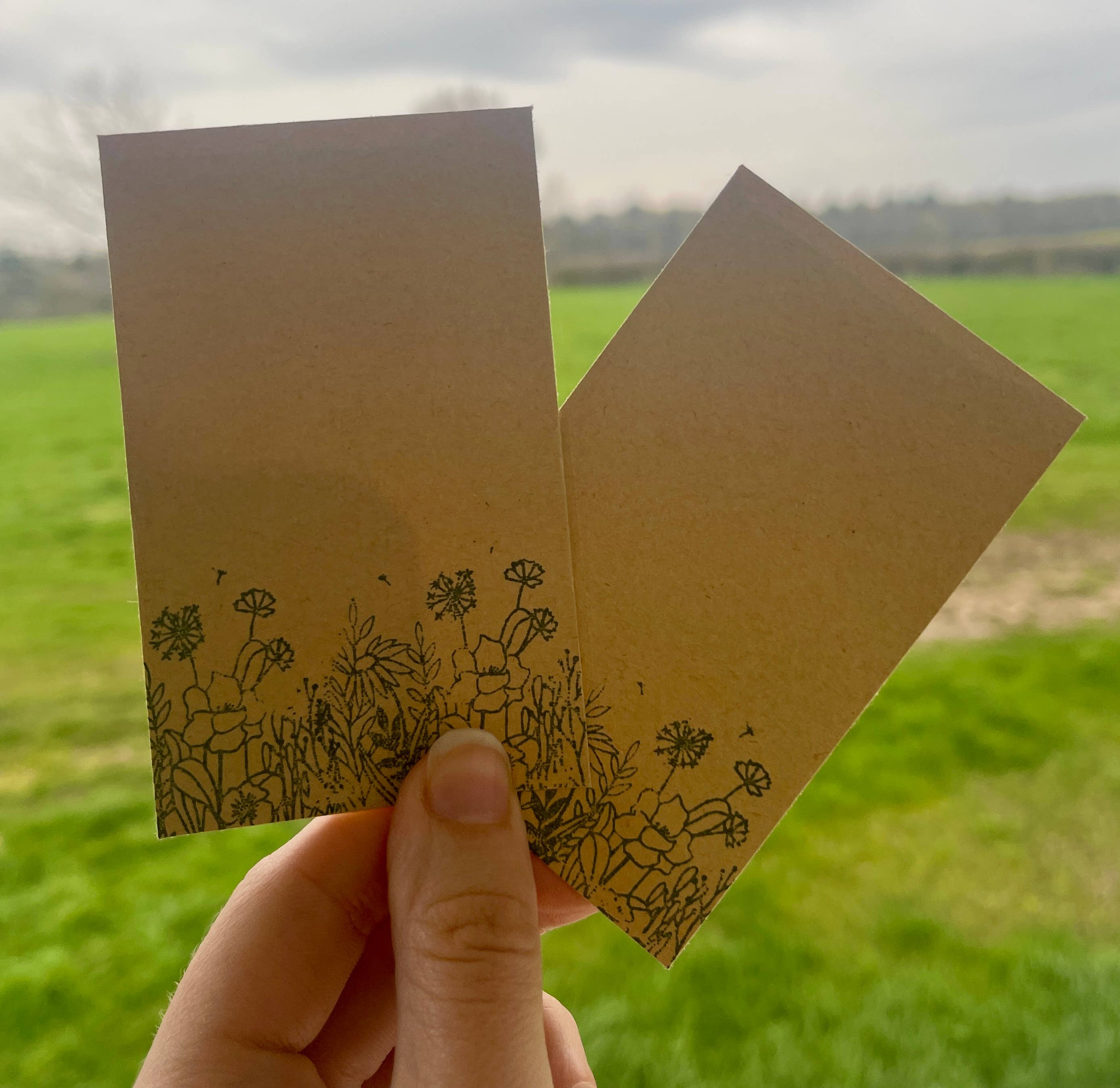 The Eco News Ltd - Wholesale Plant Seeds - Wildflower Seed Packets - Seed Envelopes5