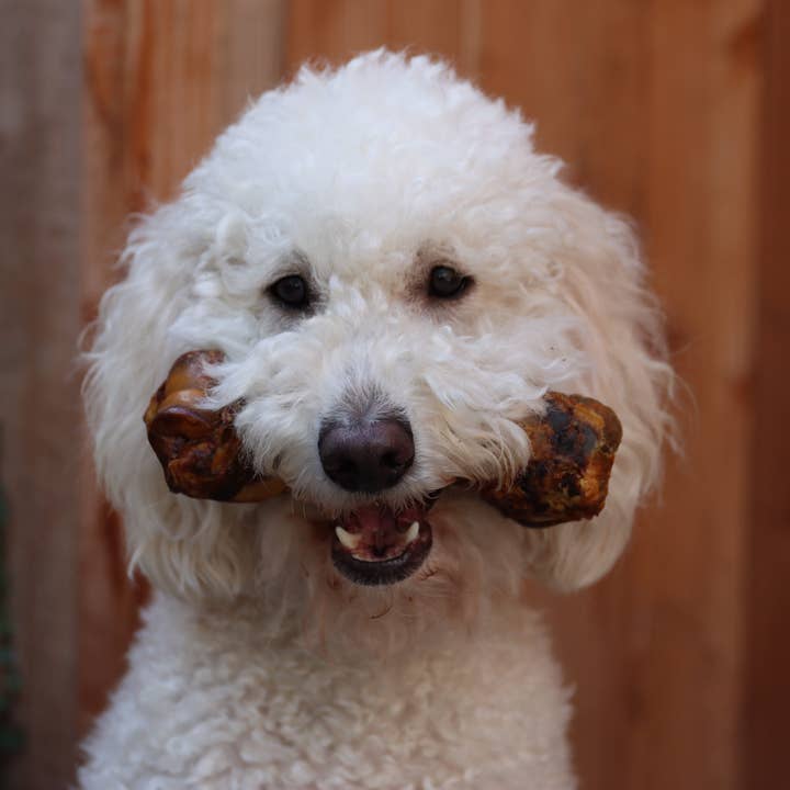 Kivo Petfood - Wholesale Pet Treats - Dog - Dog snack - Feast - 1 piece1