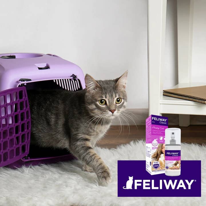 Pet Palette Distribution - Wholesale Pet Deodorizing Spray - Feliway Classic Cat Calming Pheromone Spray 60 mL5