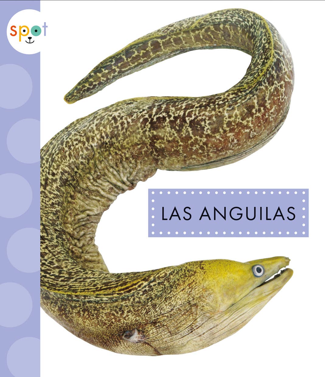 Amicus Publishing – Engroshandel Nature & Outdoors – Las Anguilas0