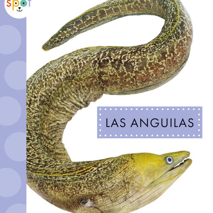 Amicus Publishing – Engroshandel Nature & Outdoors – Las Anguilas