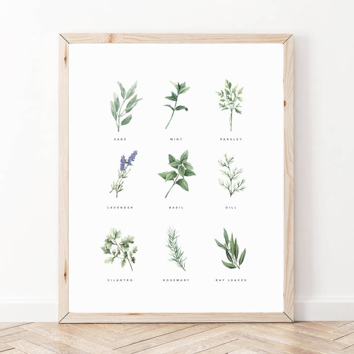 Stampa artistica da giardino con erbe aromatiche per la vendita all'ingrosso da parte di Natasha Vanderburg Co.