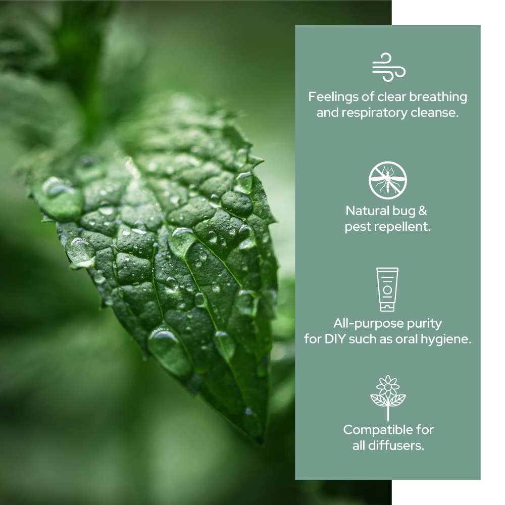 Plant of Life - Vente Huile essentielle - Huile essentielle de menthe poivrée pure - Qualité thérapeutique - Tailles2