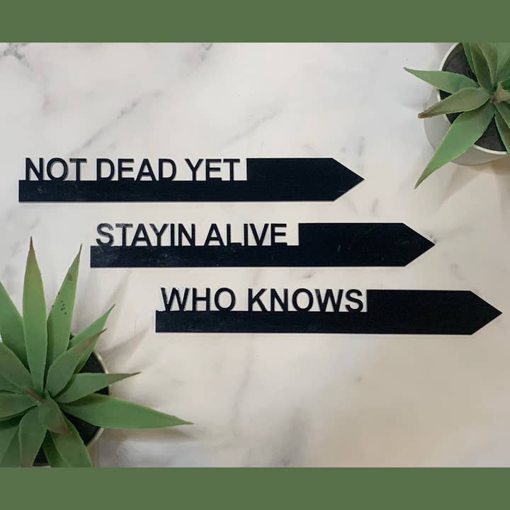 Divertenti pali per piante in acrilico nero - Stile 2 per la vendita all'ingrosso da parte di The HNB House