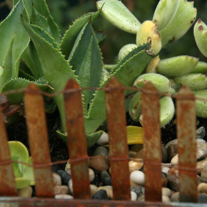 Home Kreation by KK dba Kraft Klub - Venta al por mayor Adornos/decoración de exteriores - MINI VALLA DE ALAMBRE PLEGABLE OXIDADA DE 23.5 X 2.9 PULGADAS1