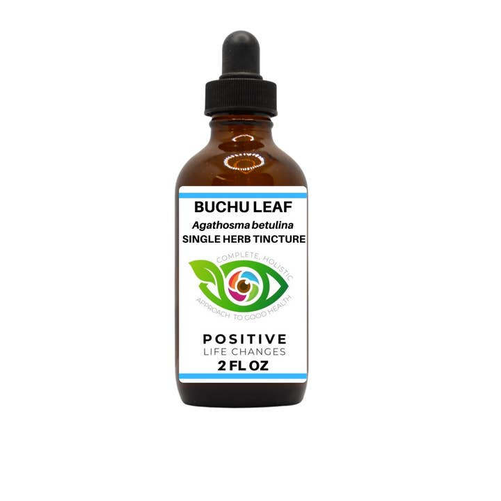 Positive Life Changes, LLC - Wholesale Tincture - Buchu Leaf Single Herb Tincture