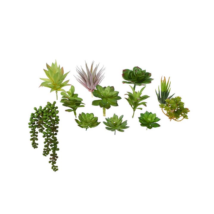 Set of 12 Assorted Succulent Stems and other Purchase Wholesale mini succulent plants. Free Returns & Net 60 Terms on Faire trending on Faire.
