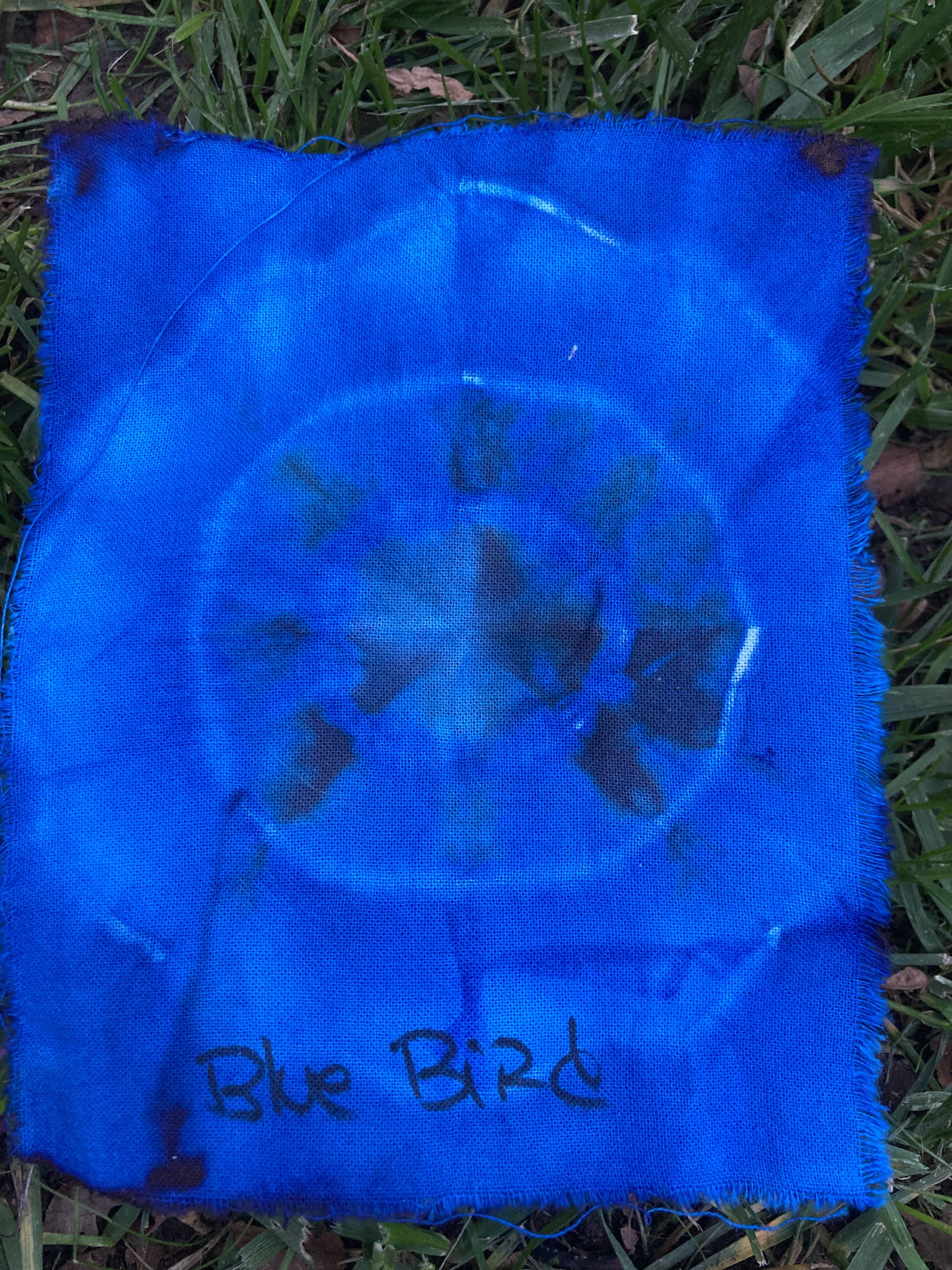 Sunshine Tie Dye - Wholesale T-Shirt - Women's - Classic Spiral T-shirt21