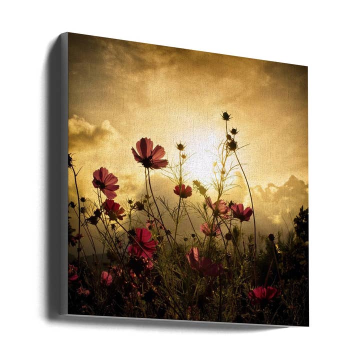 Watching the Sun for wholesale by GTA ART