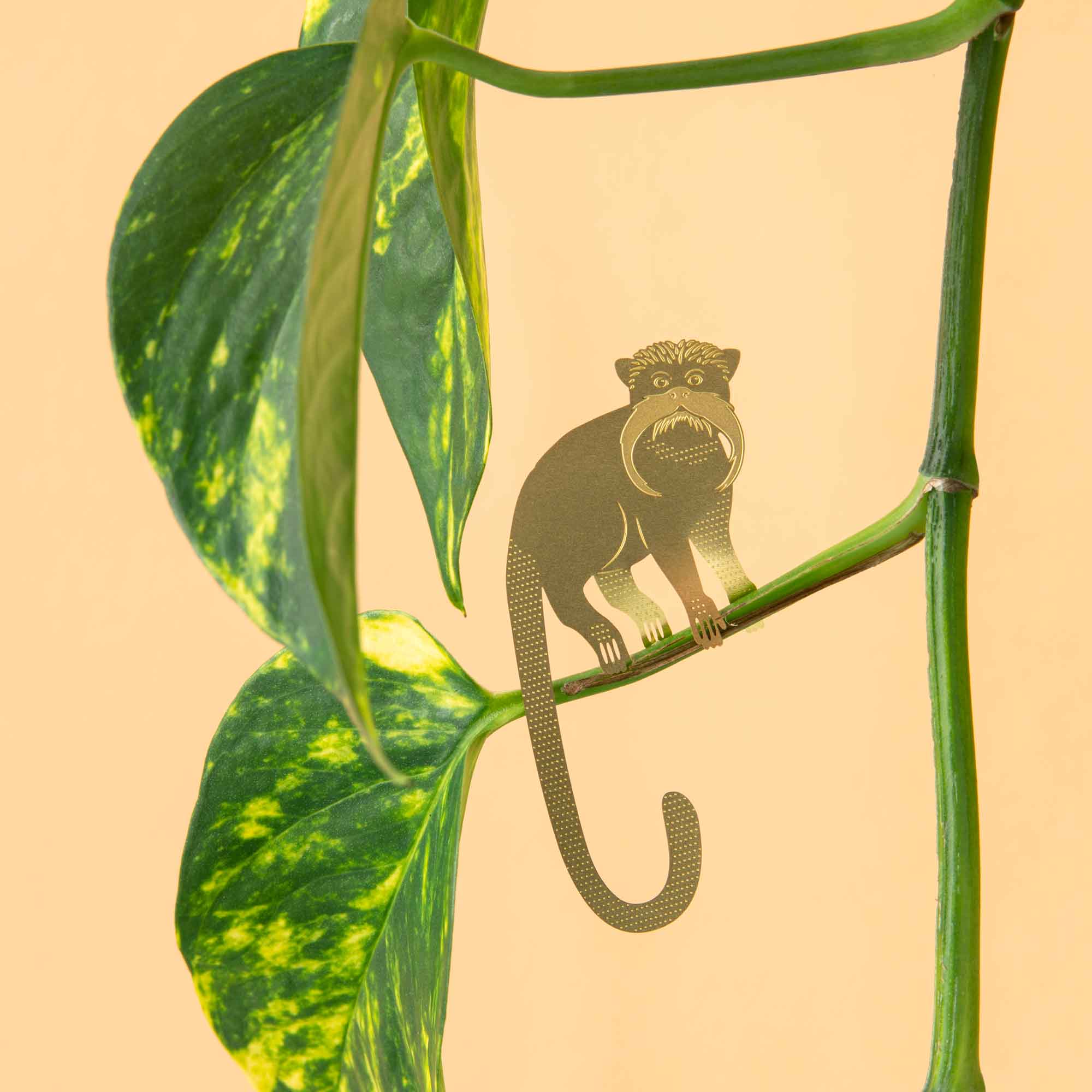 Another Studio UK – wholesale Ornament – Plant Animal Tamarin, Plant Hugger Decoration1