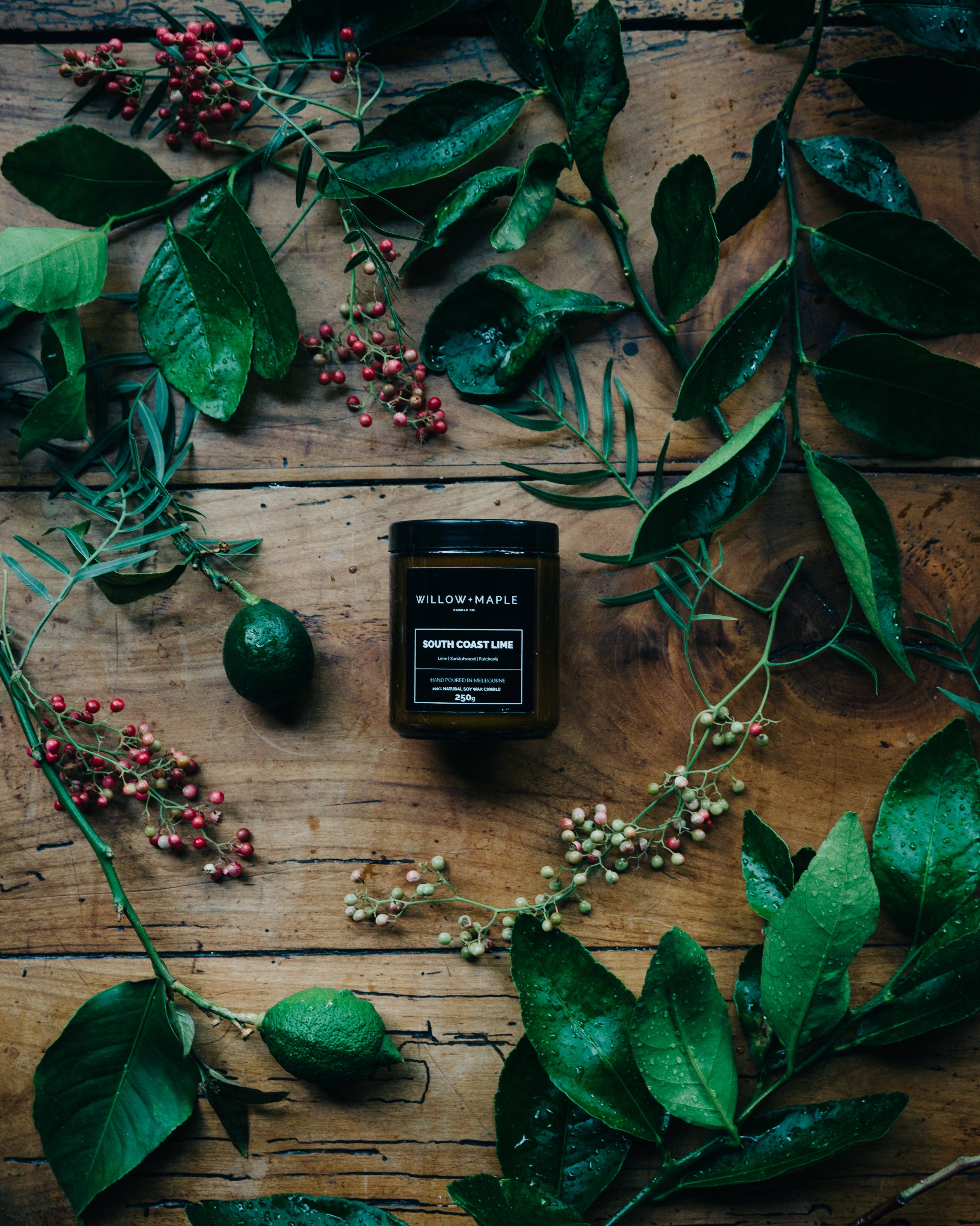 Willow + Maple - Wholesale Jar/filled candle - SOUTH COAST LIME