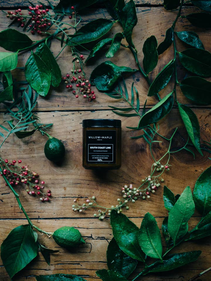 SOUTH COAST LIME for wholesale by Willow + Maple