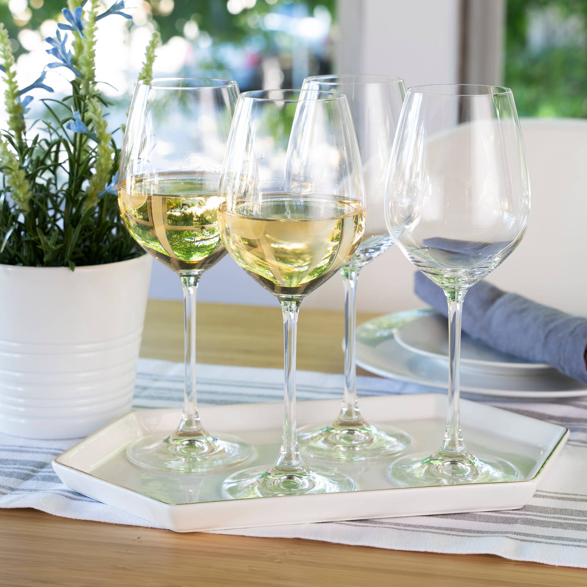 Spiegelau - Wholesale Wine Glass - Salute High Stemmed Crystal White Wine Glasses Set of 43