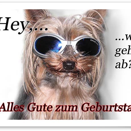Geburtstag / Grußkarte / Humor / Hund / 519047 für den Großhandel von Yabué
