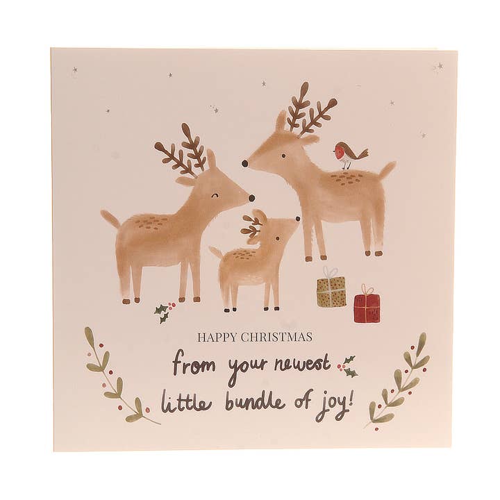 Från ditt nyaste knippe av glädje gratulationskort 2025 för wholesale av Ziggle Baby