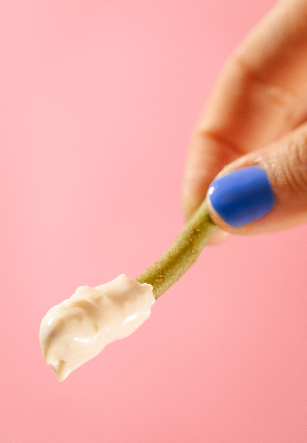 Nemi Snacks - Vente Encas soufflé - Smoky Chipotle - Snacks croquants Nopales et cactus Nemi7