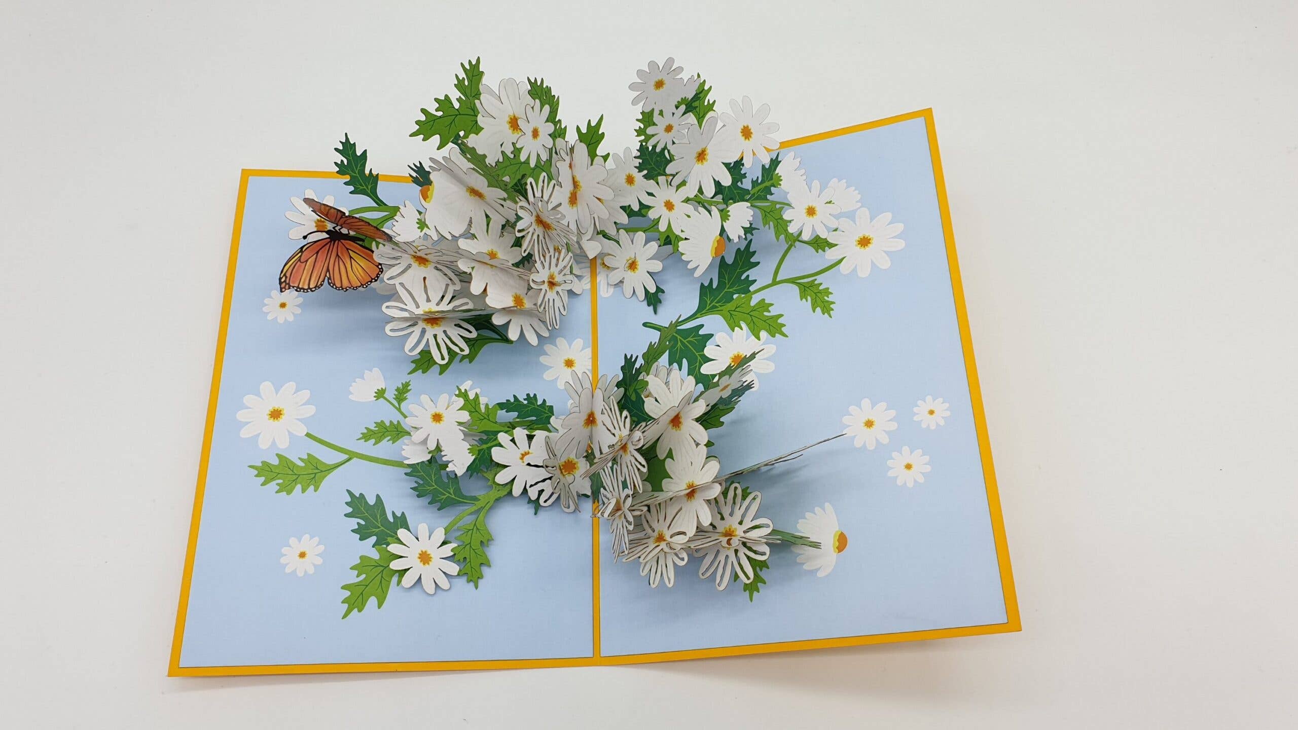 Papier Paradies - Wholesale Everyday Greeting Card - 3D Pop Up Card Daisies Daisy1