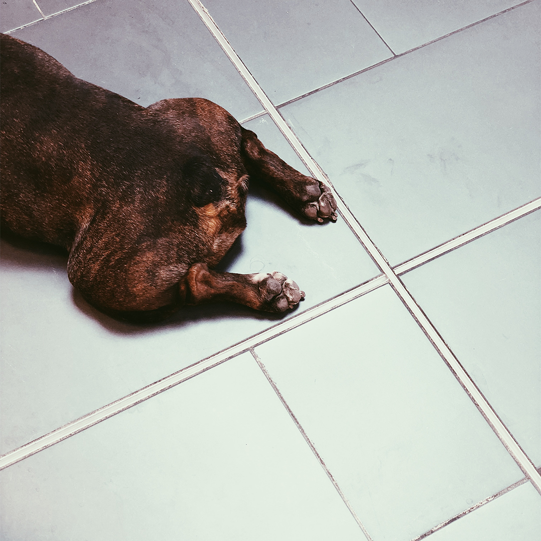 Natura Amica – wholesale Floor cleaner – "PURO" Organic Disinfectant Floor Cleaner3