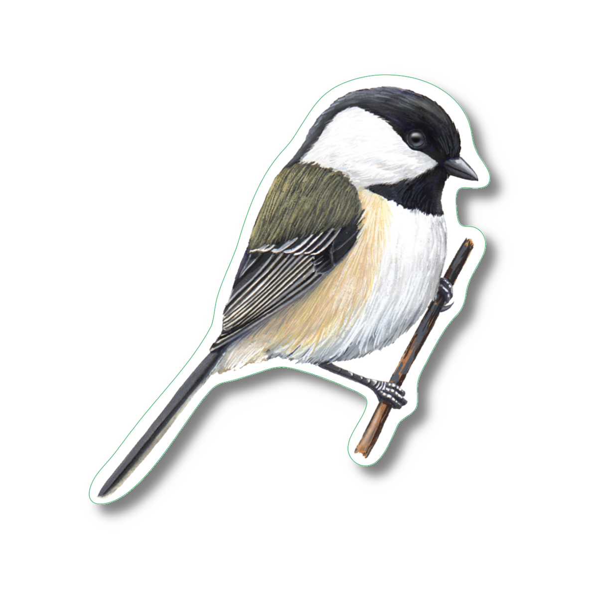 Earth Sky + Water - Vente Autocollant - Autocollant Chickadee Nature, 2,5 x 3,5 pouces1