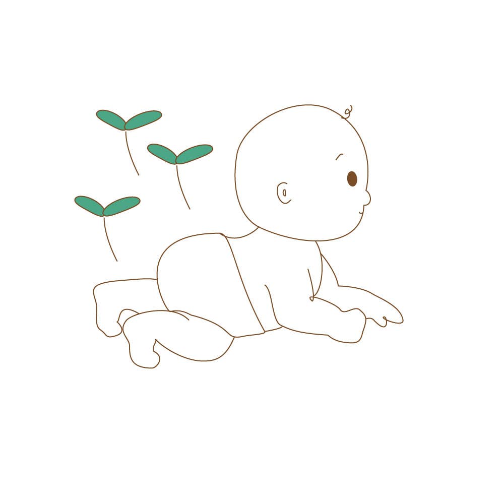 Beaming Baby - Wholesale Diaper (Cloth) - Baby - Organic Bamboo Midi Nappies - 5-8kg, 30 pcs/bag (size 2)6