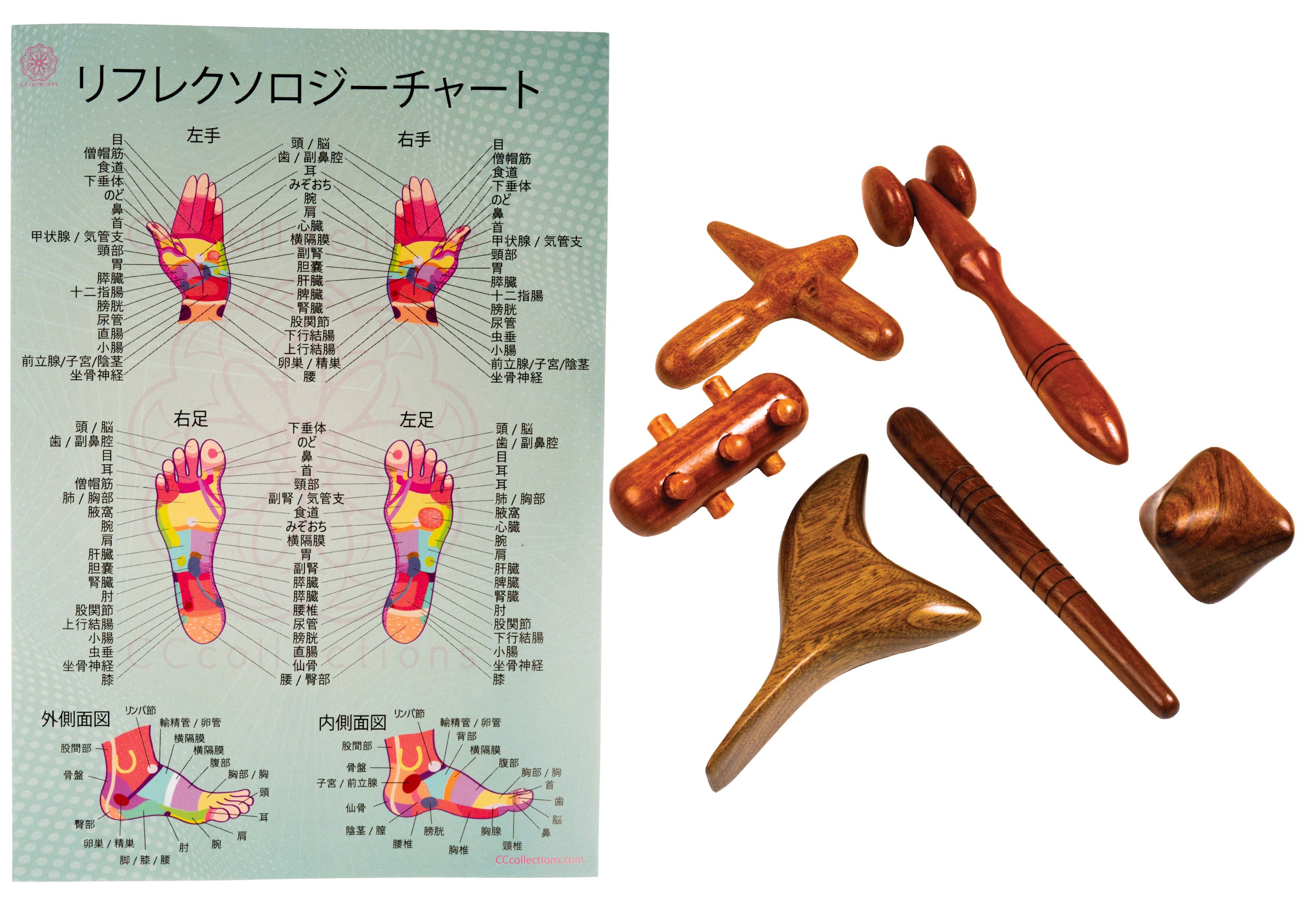 CCcollections – Großhandel Massagegeräte – Professionelles Set aus Holz-Massagewerkzeugen mit Reflexzonen-Diagramm7