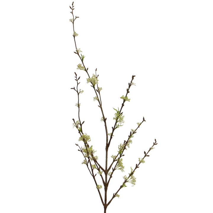 Viburnum 105 cm cream for wholesale by Floratexx