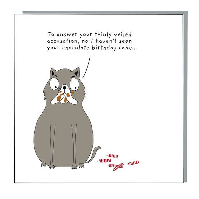 Chocolate Cat Birthday card for wholesale by Not at all Jack