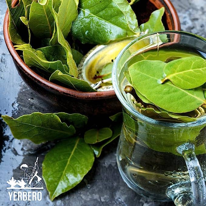 YERBERO - Wholesale Loose Tea - Yerbero - Dried Avocado Leaf 2 oz (56g) | Hoja De Aguacate Criollo - Aroma Fuerte | Aromatic, Strong Smell |1