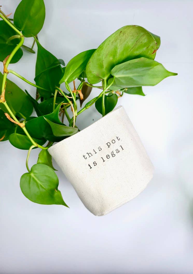 Leaf and Root Co. – Engroshandel Plantekrukke – Denne potte er lovligt lærredplantepottebetræk1