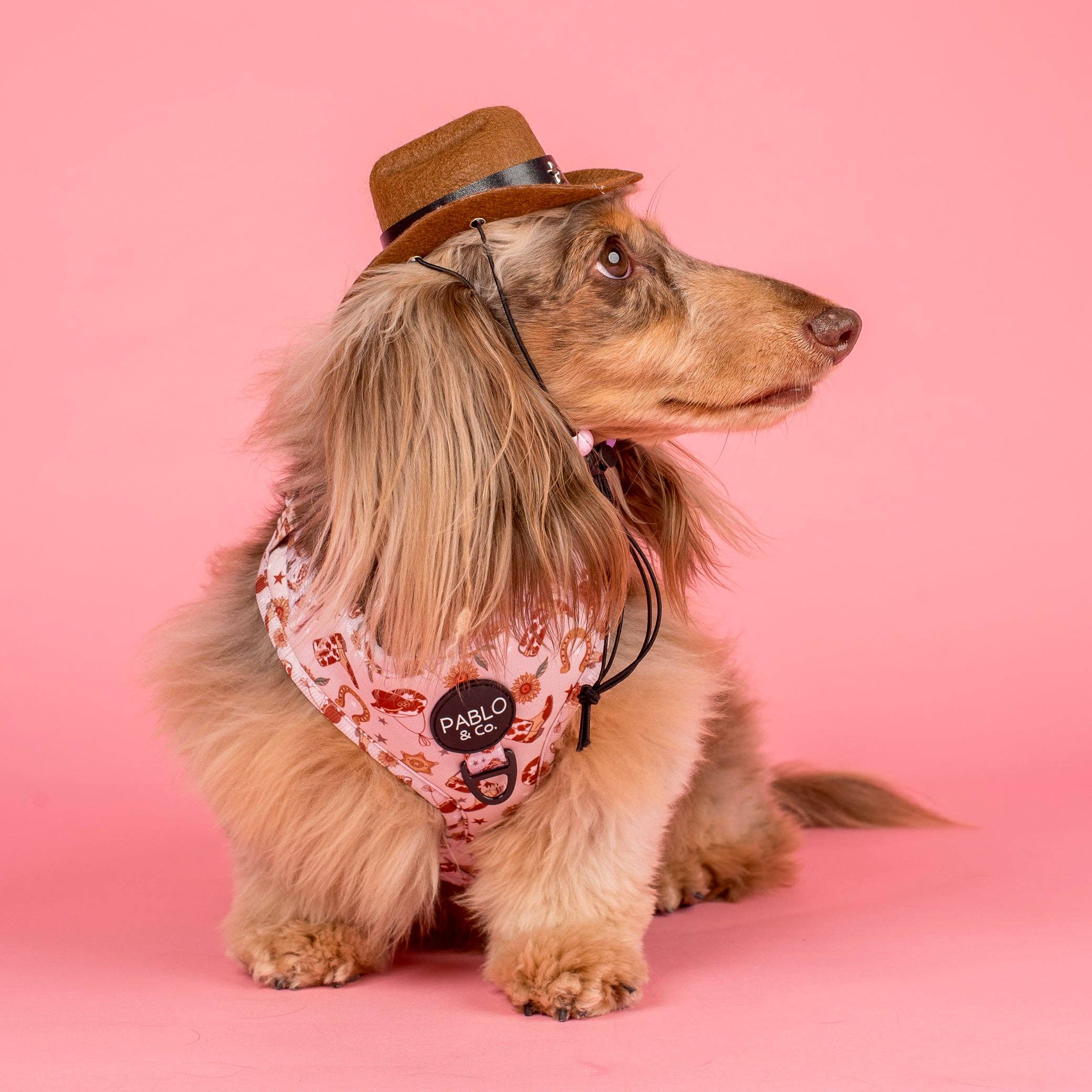 Pablo & Co. Boutique - Wholesale Pet Harness - Dog - Howdy: Adjustable Dog Harness2