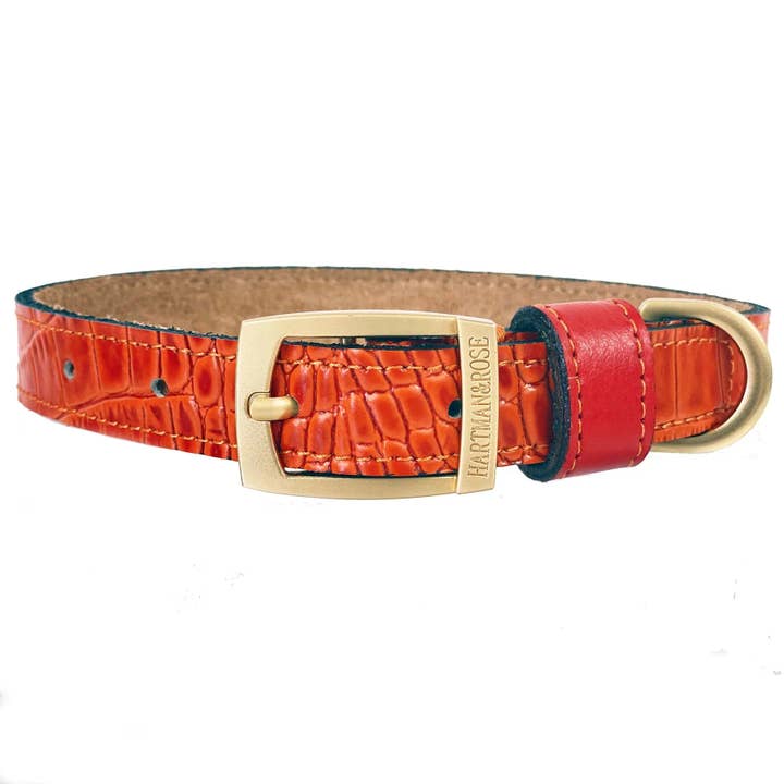 Cayman Dog Collar in Tangerine for wholesale by Hartman & Rose