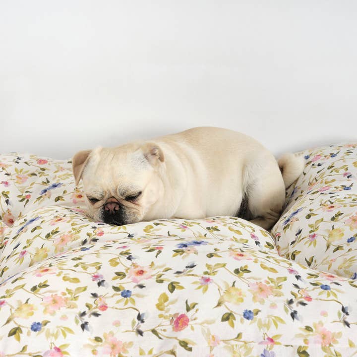 SG HOGAR - Wholesale Pet bed – Dog - Leeds Green 100% Cotton Stain-Resistant Pet Bed5