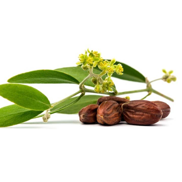 The Chandlery - Wholesale Bar Soap - White Tea & Ginger Soap5