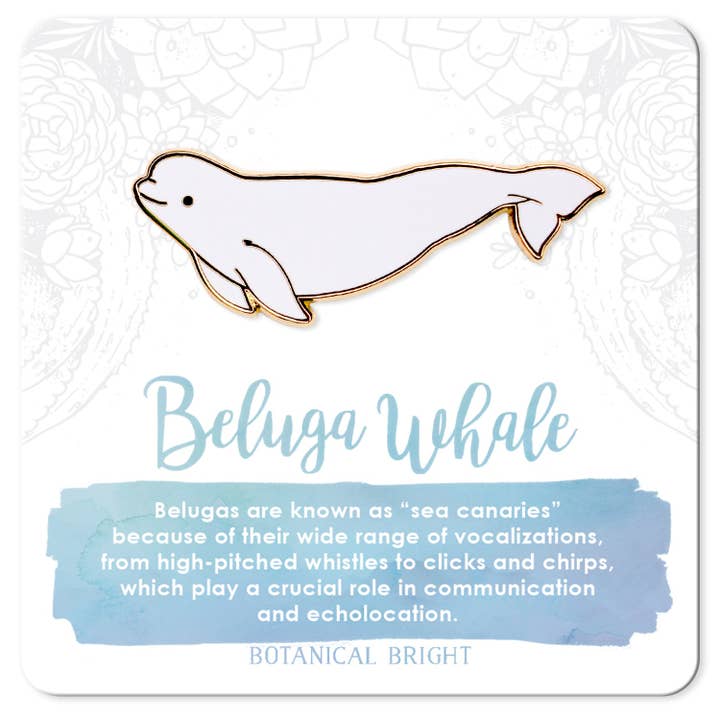 Pin esmaltado Beluga Whale para venta al por mayor de Botanical Bright