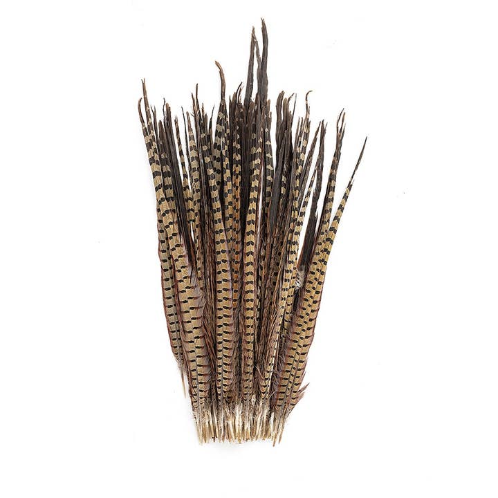 Ringfasanhaler - Naturlige - 20 - 24" (100 stk.) for engroshandel hos Zucker Feather Products