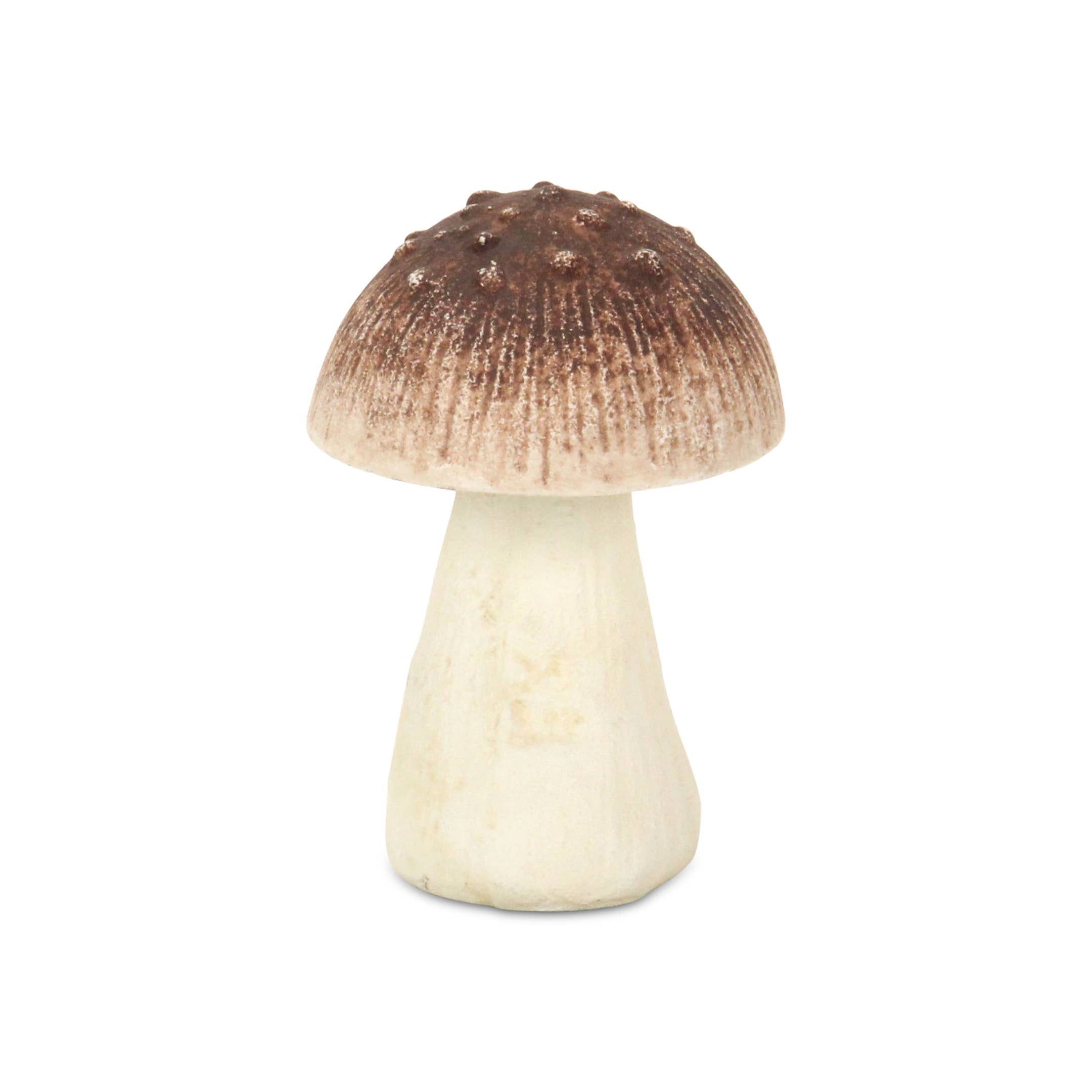 Cheungs Home Decor - Wholesale Decorative Tabletop Object - Hareton Cast Iron Mushroom Decor12