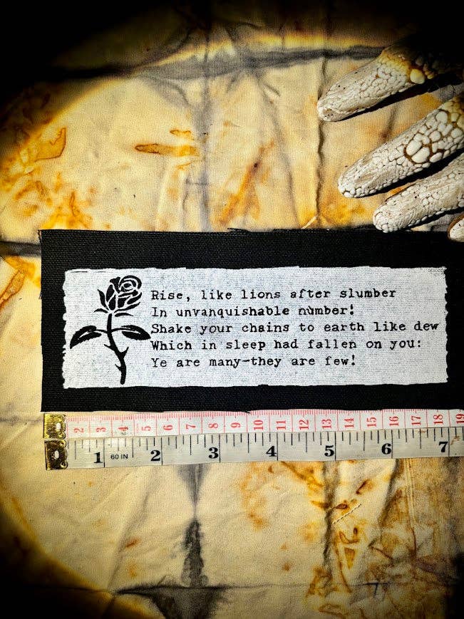 Three Raccoons – Emblema por atacado – O Máscara da Anarquia poema remendo.1