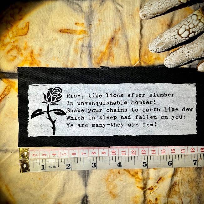 Three Raccoons - Wholesale Patch - The Masque of Anarchy poem patch.1