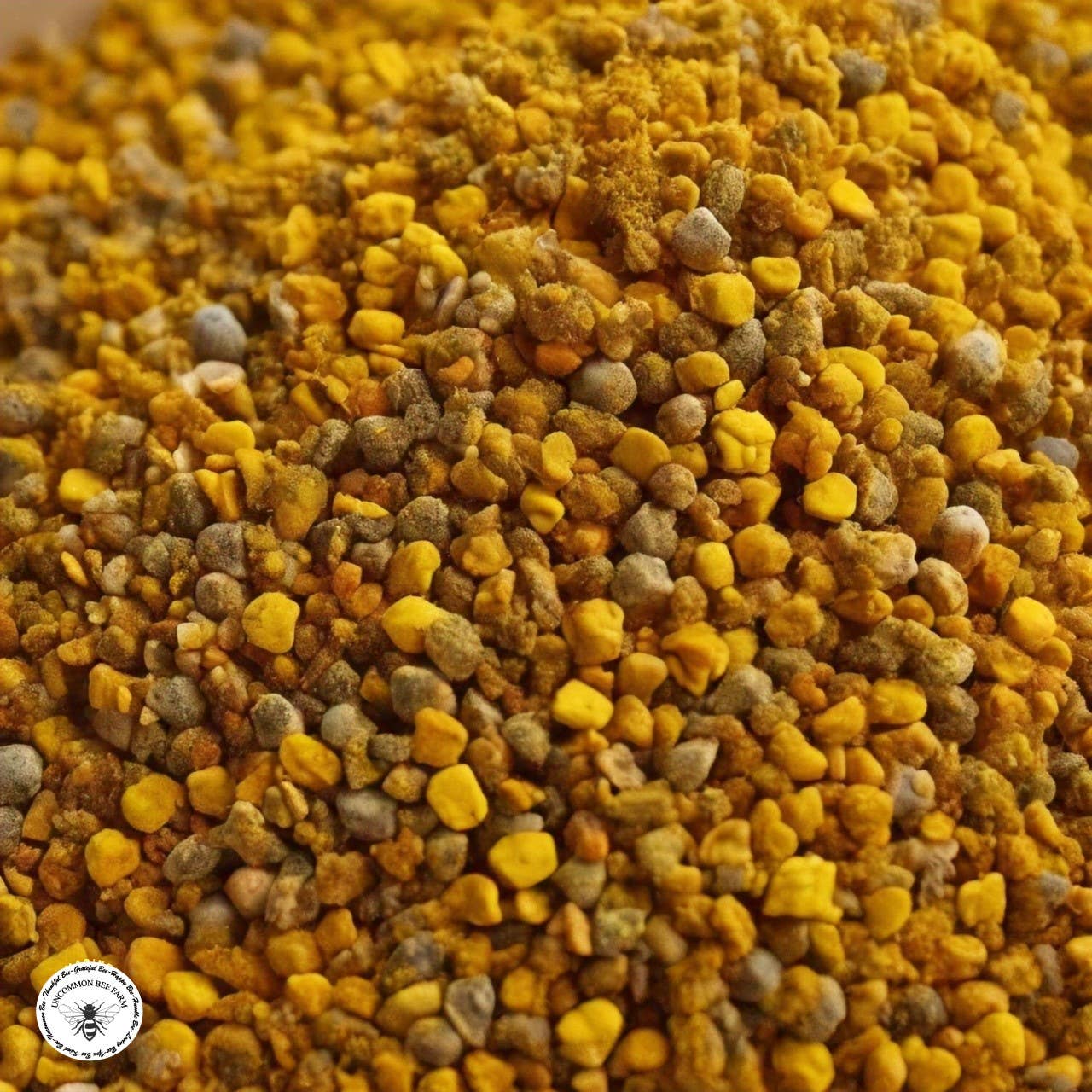 Uncommon Bees - Wholesale Oral Supplement/Vitamin - Bee Pollen Capsules 500mgs2