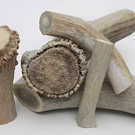 QT Dog, LLC - Wholesale Pet Chew Toy - Dog - Antlerz