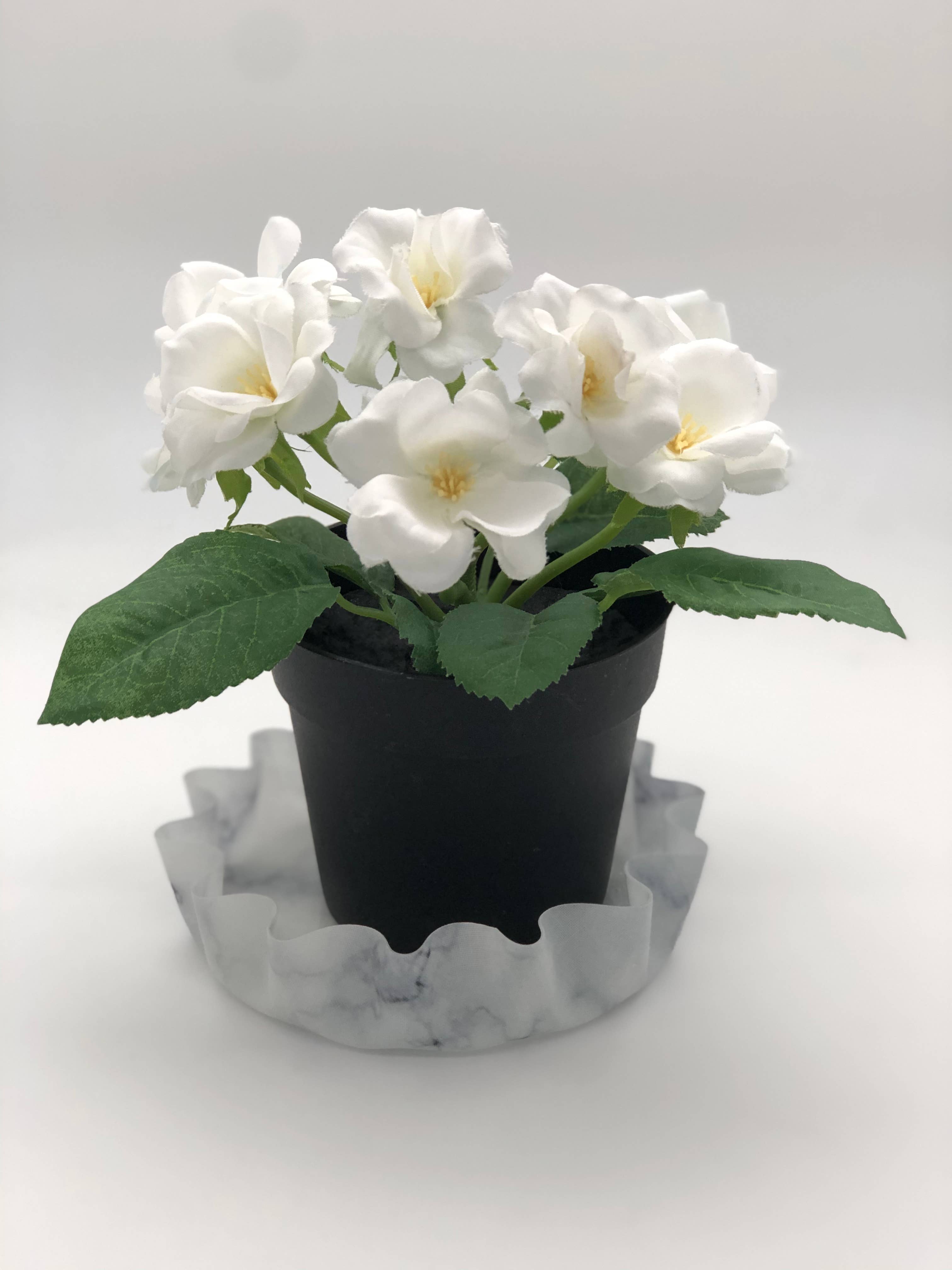 Andreas – Engroshandel Bordskånere – Andreas Lillie Pad/Coaster7