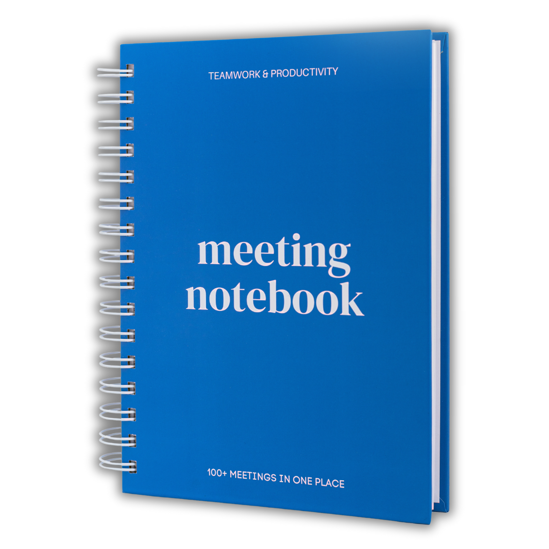 Lamare - Wholesale Notebook - Lamare Meeting Notebook – Project Planner & Work Organizer2