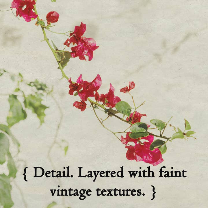 Brooke T Ryan Photographic Art - Wholesale Art Print - Bougainvillea Flower Art: Pink and Green Floral Art Prints 2