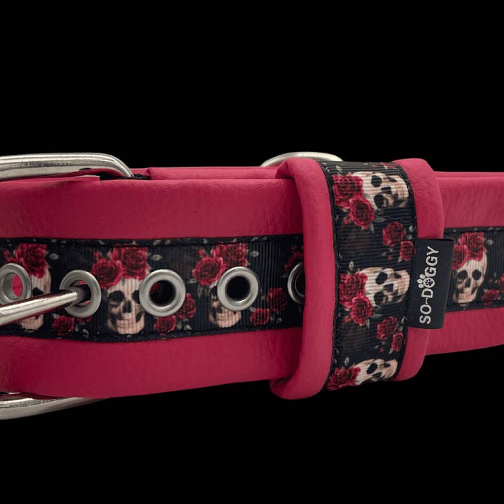 COLLARE PER CANI SIMILI | SWANN | FUCSIA per la vendita all'ingrosso da parte di So-Doggy