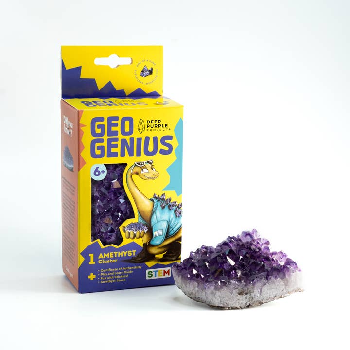 Deep Purple Project - Wholesale Brain Game - Kids - Amethyst Discovery Kit, STEM Kit for Kids13