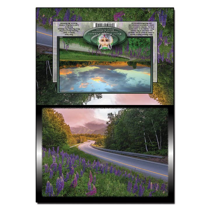 #2064 Carte Lupine Road pour la vente par White Mountain Images