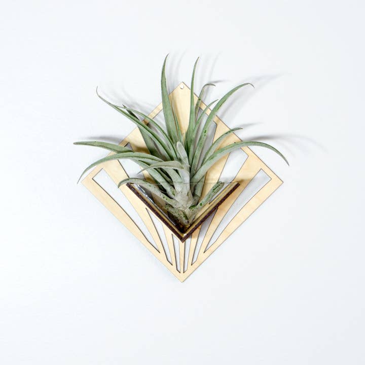 LIGHT RAZOR DESIGN STUDIO - Wholesale Wall planter - Air Plant Holder / Quadrate Wall Hanging Planter 2113