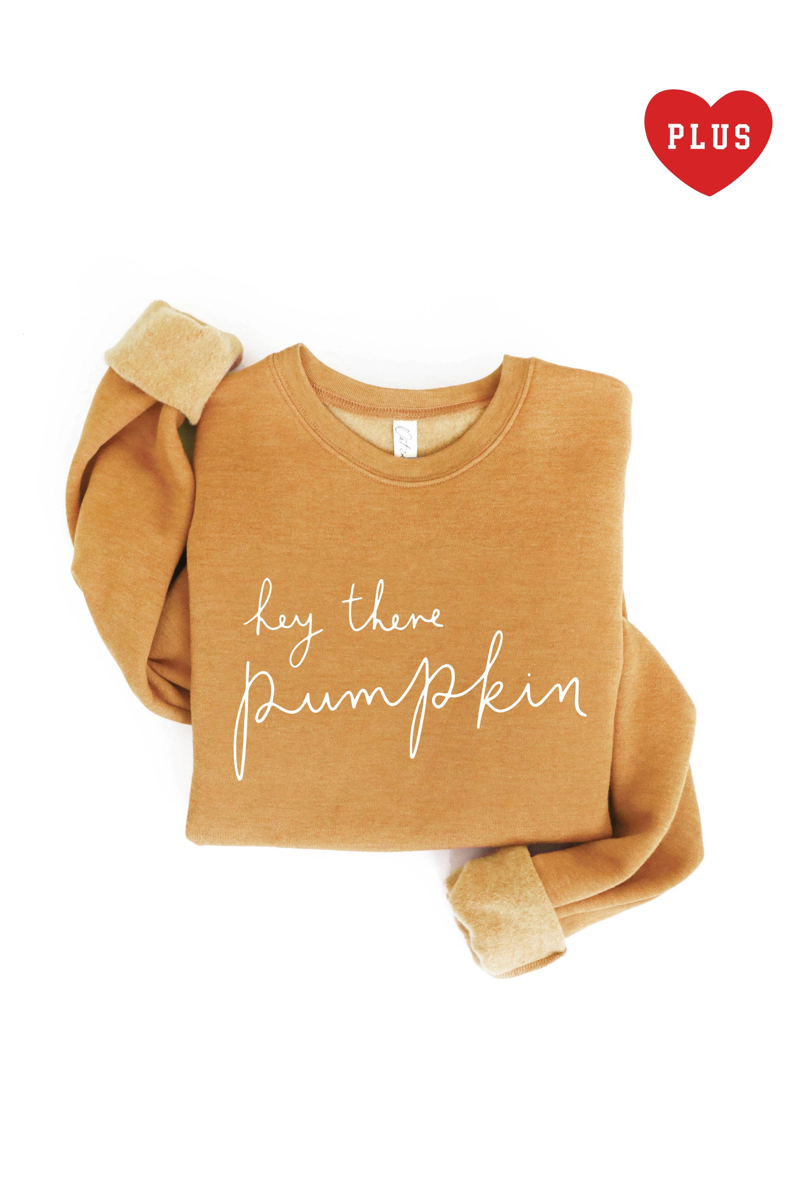 OAT COLLECTIVE - Wholesale Graphic Sweatshirt - Women's - HEY THERE PUMPKIN Plus Graphic Sweatshirt11